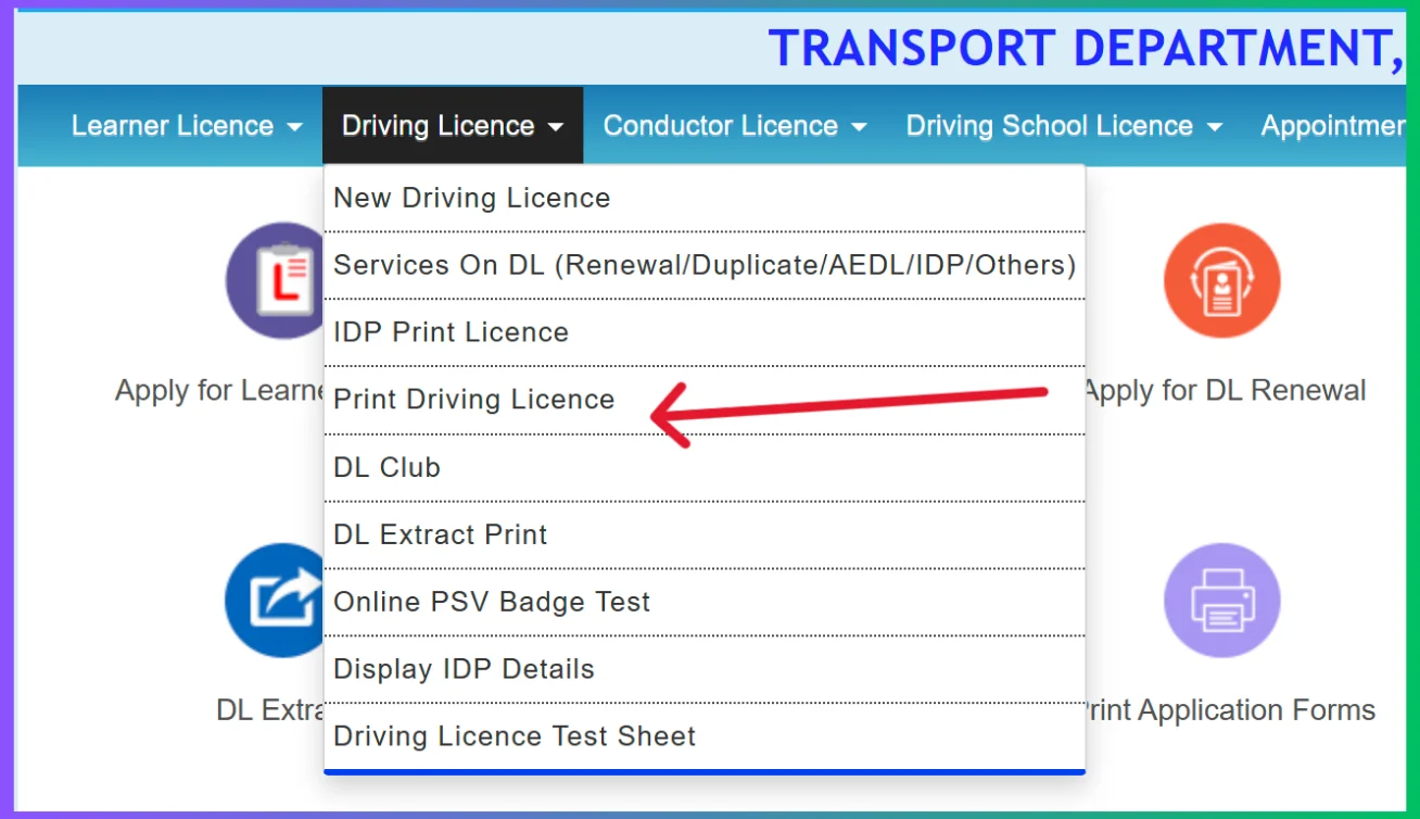 driving licence download
